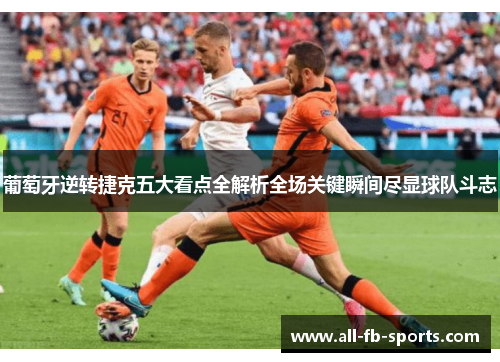 葡萄牙逆转捷克五大看点全解析全场关键瞬间尽显球队斗志 葡萄牙逆转捷克五大看点全解析全场关键瞬间尽显球队斗志