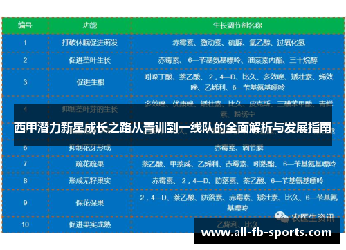 西甲潜力新星成长之路从青训到一线队的全面解析与发展指南 西甲潜力新星成长之路从青训到一线队的全面解析与发展指南