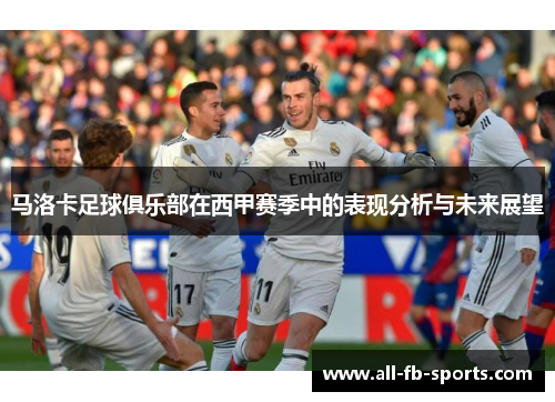 马洛卡足球俱乐部在西甲赛季中的表现分析与未来展望